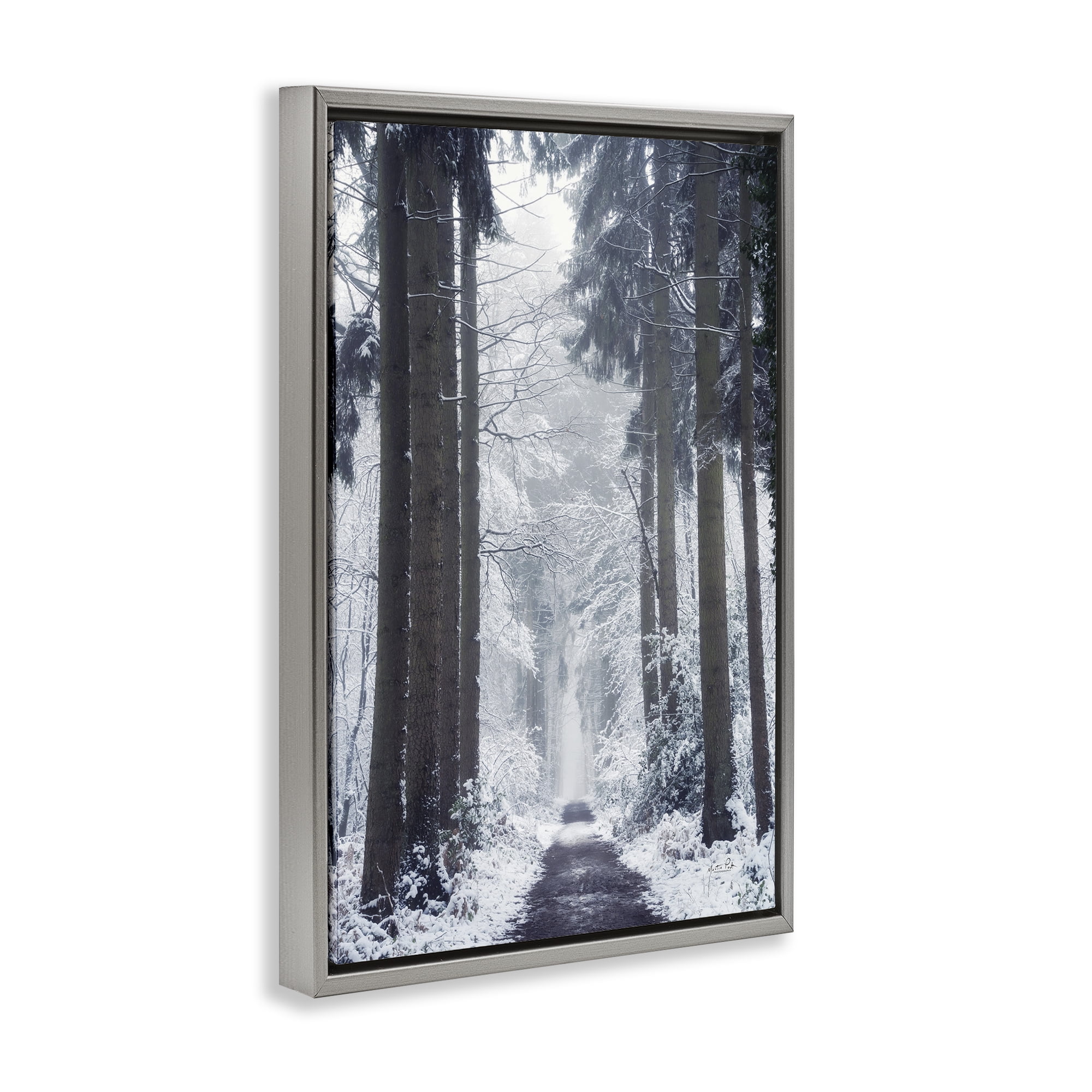 Stupell Industries Winter Fir Path Landscape Photography Gray Floater Framed Art Print Wall Art, 21 x 31