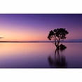 thumbnail image 4 of IDEA4WALL 6pcs Natural Landscape Peel and Stick Wallpaper Removable Wall Murals Large Wall Stickers for Home Decoration, 100"x24", 4 of 5