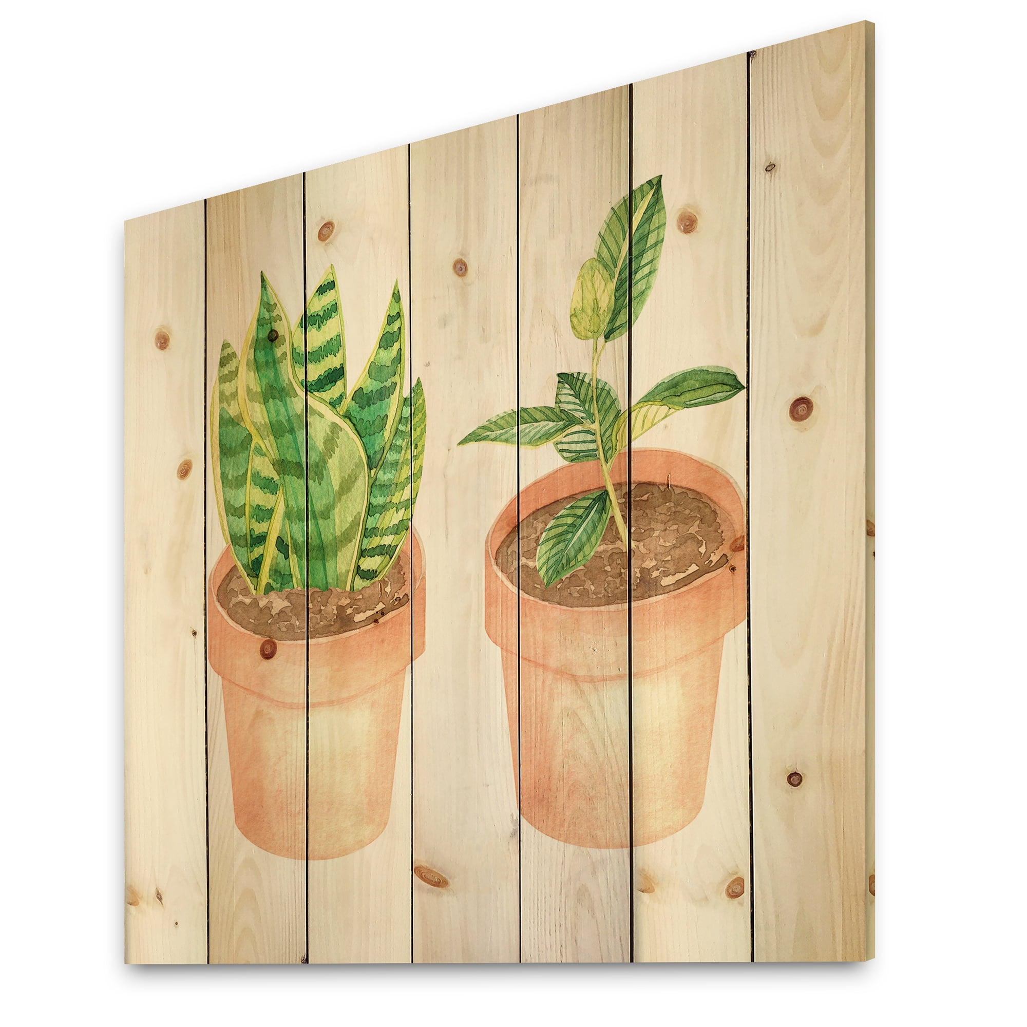 Designart 'Ficus and Sansevieria Indoor Green Home House Plants' Traditional Print on Natural Pine Wood