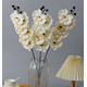 thumbnail image 4 of Xiao Hua 3 flores artificiales de orquídea polilla, flores falsas, flores artificiales para decoración de bodas, color champán, 4 of 5