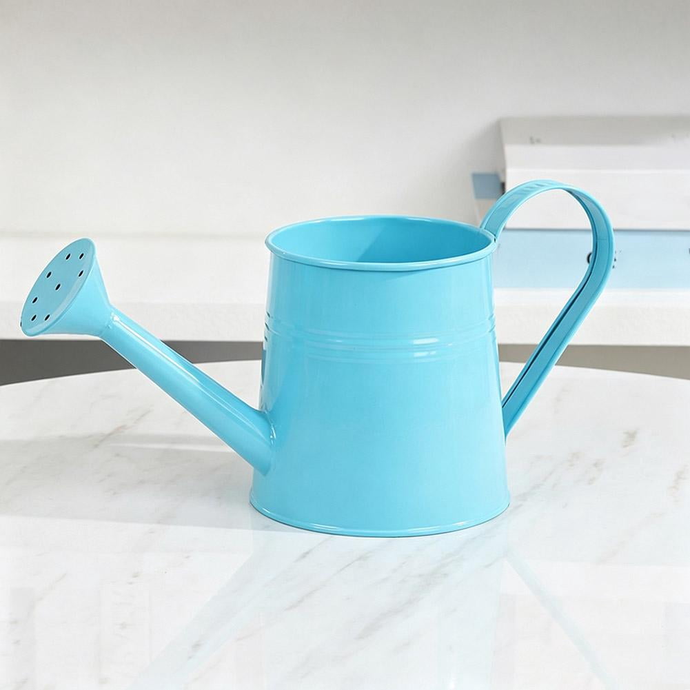 Metal Watering Can, 1L Vintage Sprinkling Can Plant Watering Cans for Outdoor Indoor Plants, Retro Sprinkling Cans for Flowers, Indoor & Outdoor Plants, Lawn & Garden Irrigation Tool - White