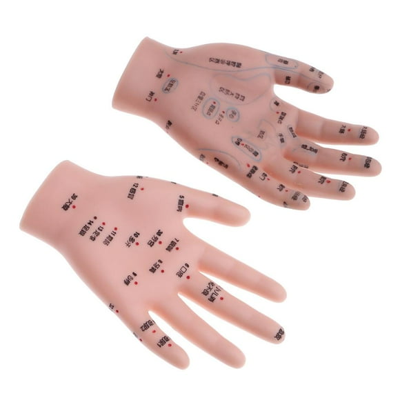 de 2 Piezas de Acupuntura para Manos, Reflexología, Modelo de Punto de Acupuntura, Suministros de Laboratorio Colcomx Estatua de manos de niños