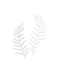 thumbnail image 3 of 1x Studio II 14x18 Black Modern Framed Museum Art Print Titled - Pale Plants, 3 of 5
