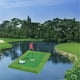 thumbnail image 5 of Alfombrilla de golf flotante DYNWAVEMX césped premium 54x90CM, 5 of 8