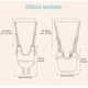 thumbnail image 3 of Arnés De Seguridad Para Caminar Respirable Bebes 8-24 Meses Modelo Verde, 3 of 4