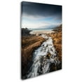 thumbnail image 2 of Trademark Fine Art "Bright Eyes" Canvas Art by Philippe Sainte-Laudy, 2 of 3