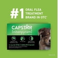 thumbnail image 5 of CAPSTAR Tratamiento oral de pulgas para perros, comprimidos de acción rápida comienzan a matar pulgas en 30 minutos, perros medianos y grandes (más de 25 libras), 6 dosis, 5 of 5