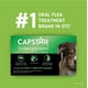 thumbnail image 5 of CAPSTAR Tratamiento oral de pulgas para perros, comprimidos de acción rápida comienzan a matar pulgas en 30 minutos, perros medianos y grandes (más de 25 libras), 6 dosis, 5 of 5