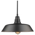 thumbnail image 2 of AA Warehousing Aurora 1 Light Outdoor Pendant, 2 of 5