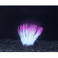 thumbnail image 2 of Penn-Plax, Pink Sea Anemone, 2 of 2