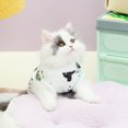 thumbnail image 4 of EastVita Cat Recovery Suit Breathable Cat Surgery Recovery Suit Abdominal Wounds Skin Diseases Protection For Cats After Surgery Washable Cat Surgery Suit For Post-Operative Healing Process, 4 of 8