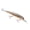NaturalMinnow, variant on Bandit Suspending Minnow