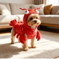 thumbnail image 7 of Lobster Shape Dog Costume 3D Cartoon Eyes Antennae Halloween Trick or Treat Clothes Snap Closure for Dachshund Small Medium Pets XL, 7 of 7
