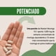 thumbnail image 3 of Restart Moringa Oleifera 10:1 | Extracto Concentrado | 9 Aminoácidos Esenciales | 1000 mg | 60 Cápsulas, 3 of 6