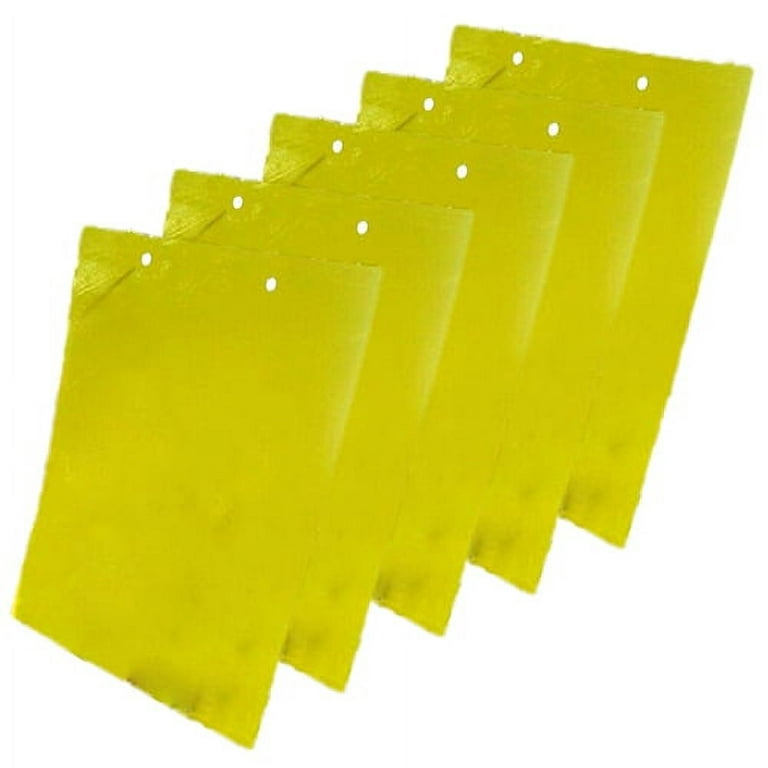 Ludlz Sticky Fruit Fly and Fungus Gnat Trap Yellow Sticky Bug Insect Killer  Houseplant 5 Pcs Insect Trap Large Area Hanging Sticky Glue Boards Fly