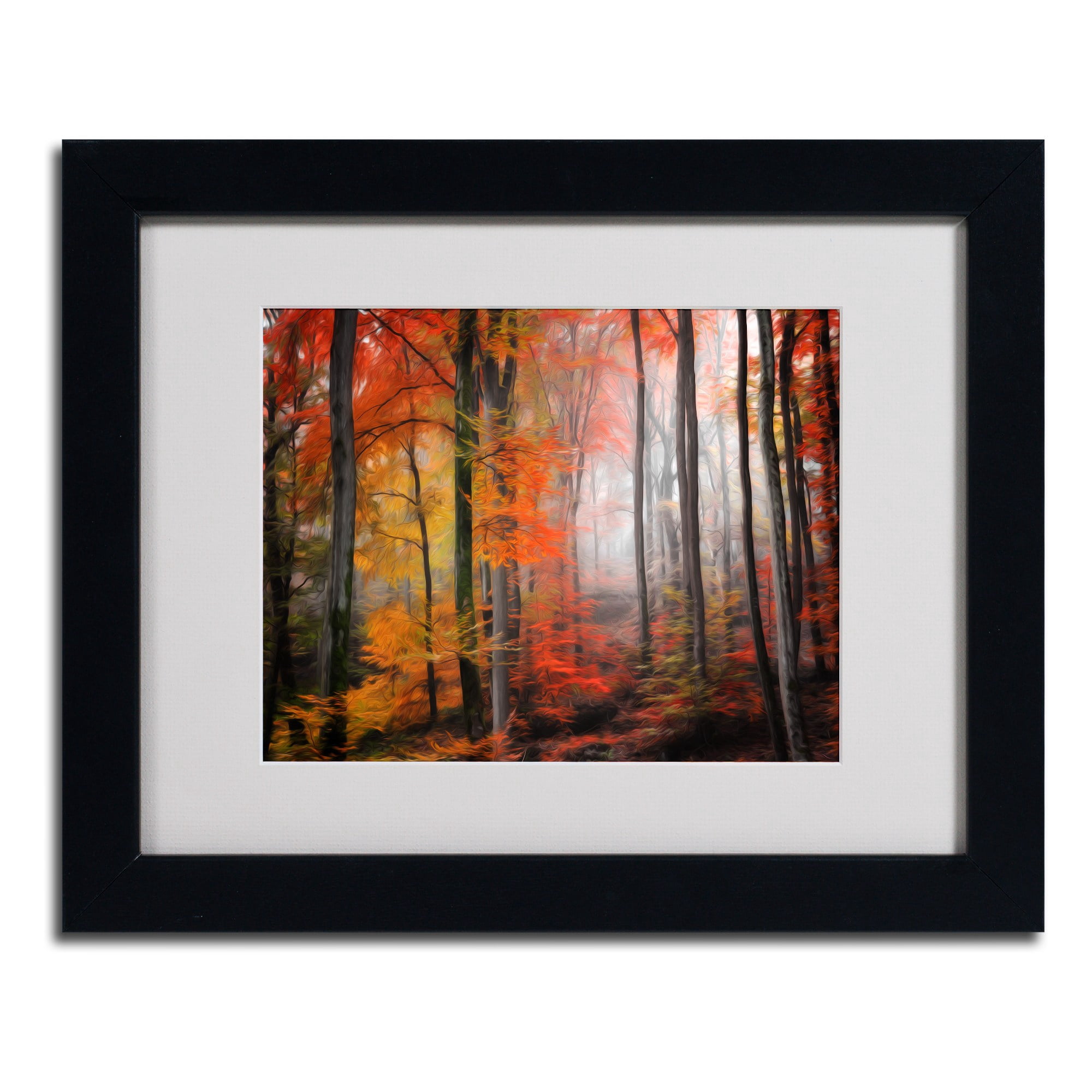Trademark Fine Art "Wildly Red" Canvas Art by Philippe Sainte-Laudy, Wood Frame