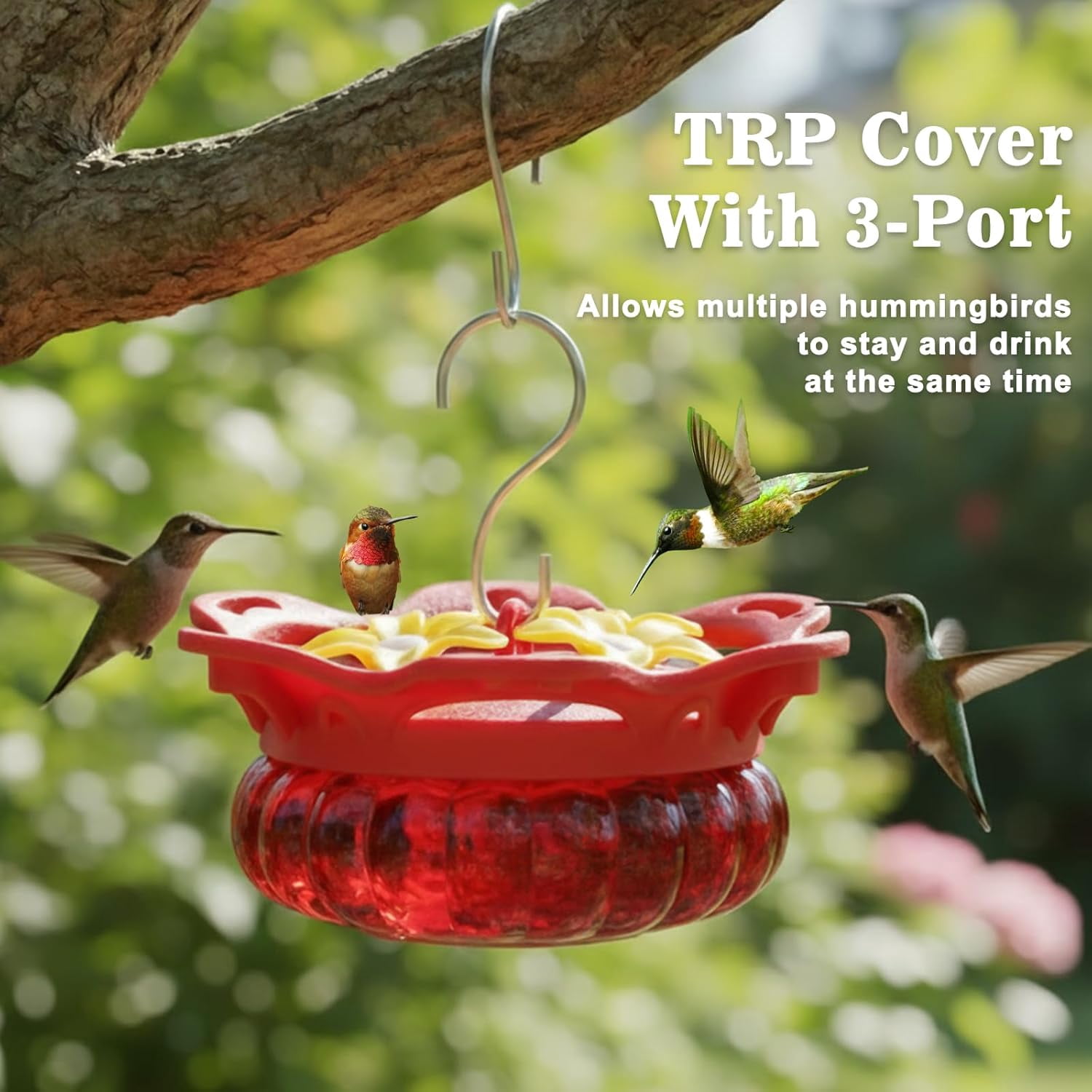Set of 2 Glass Hummingbird Feeders for Outdoors Hanging with 3 Bee Guard Feeding Ports, 3.4OZ Handheld Humming Birds Feeders for Outside, Gifts for Women Mom, Red