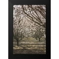 thumbnail image 2 of Mossholder, Tim 11x14 Black Modern Framed Museum Art Print Titled - Almond Orchard, 2 of 5