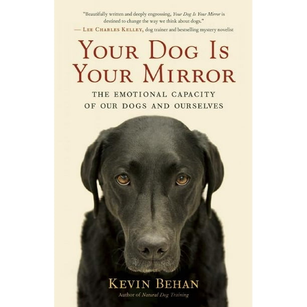 Your Dog Is Your Mirror The Emotional Capacity of Our Dogs and