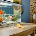 thumbnail image 4 of MERRYHAPY 10Ud Hoja Acuario Para Descanso Y De Betta, 4 of 8