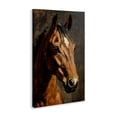 thumbnail image 2 of Stupell Industries Cottage Horse Portrait Study Canvas Art, 16 x 24, by Petals Prints Design, 2 of 8
