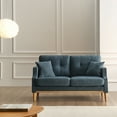 thumbnail image 2 of Small Sofa Couch with USB Charging Port and 2 Throw Pillows, 2-Seater Loveseat Sofa with Solid Wood Legs, Living Room Sofa with Soft Padded Seat and Backrest for Guest Room, Bedroom, 2 of 7