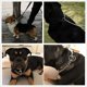thumbnail image 4 of Collar de perro de hierro sólido, cadena de Metal ajustable, Collar de entrenamiento para mascotas grandes, 4 of 5