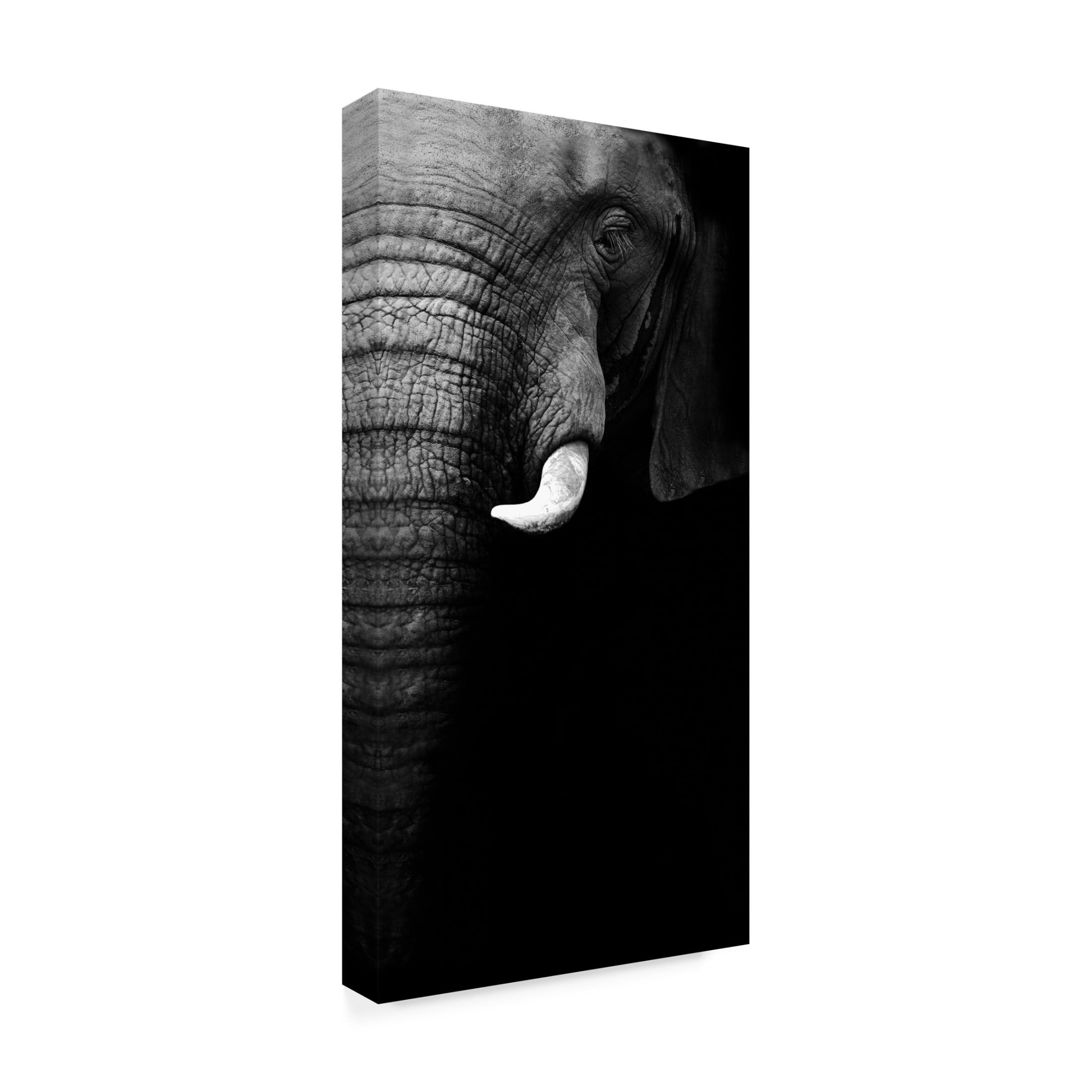 Canvas Wall Art - WildPhotoArt  'Elephant Portrait' Wall Art for Living Room, Bedroom, or Office D?cor by Trademark Fine Art - 10 x 19 Inches