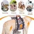 thumbnail image 5 of Adjustable Dog Lift Harness, Rear Leg Support Sling for Senior Dogs, Mobility Assistance for Weak Hind Legs, Injury Recovery and ACL Surgery Rehab, Fits Small Medium Large Dogs - XLarge, 5 of 10