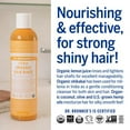 thumbnail image 4 of Dr. Bronners - Organic Hair Rinse (Citrus, 8 Ounce) - Nourishing & Effective, Gentle Conditioning Cleanser For Skin & Hair, No Synthetic Ingredients, Organic Shikakai (2-Pack) - Pack of 2, 4 of 5