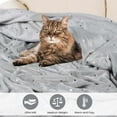 thumbnail image 3 of Superior Fleece Plush Fluffy Soft Blanket, Polka Dot Platinum, King, 3 of 9