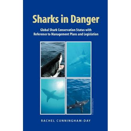 Sharks In Danger Global Shark Conservation Status With