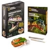 12 Pack: National Geographic™ Dinosaur Fossil Dig Kit