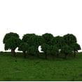 thumbnail image 4 of Maqueta de árbol de 3 cm Hugo RR modelo y de trenes Color Verde, 4 of 10