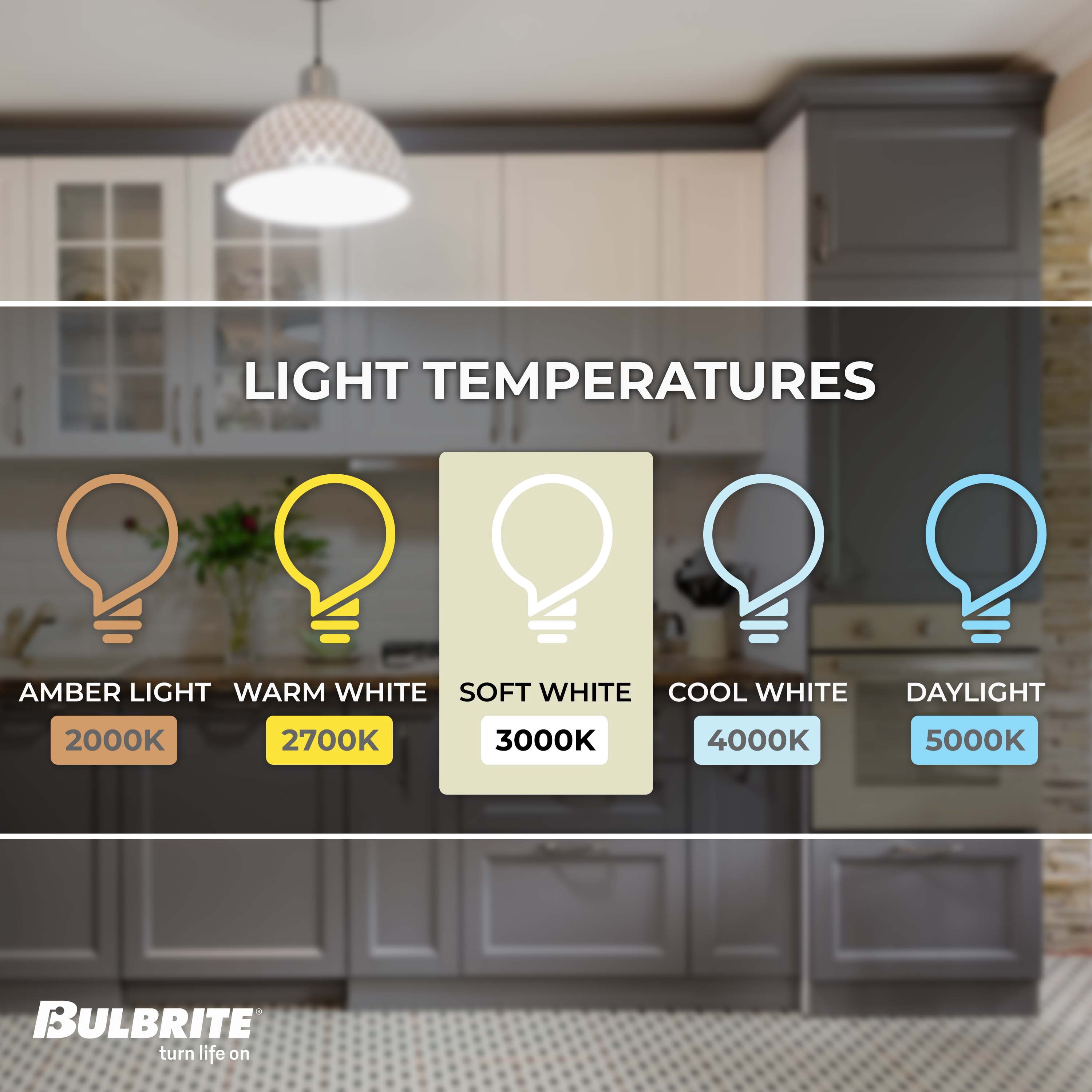 Bulbrite LED Filament Pack of (2) 8.5 Watt Dimmable G40 Light Bulbs with a Milky Finish and Medium (E26) Base - 3000K (Soft White Light), 800 Lumens