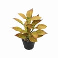 thumbnail image 2 of Plantas Artificiales de Hojas Verdes En Maceta para La Decoración de Mesas y Salas de Estar; Plantas Artificiales Realistas para La Oficina, Estanterías y Jardines., 2 of 7
