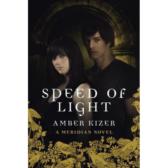 Pre-Owned Speed of Light (Meridian) (Paperback) 0385741154 9780385741156