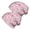 Cat Bow Paw, variant on 2PCS Stretch Knit Skull Beanie, Hip-Hop Style, Unisex, Lightweight,Cat Floral Rose Beige Pattern