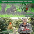 thumbnail image 4 of Squirrel Repellent Pack, Natural Chipmunk Deterrent for Bird Feeders, Garden, and Attic, Safe for Pets, 4 of 4