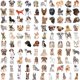 thumbnail image 3 of 100 pcs stickers - dog - Cute puppy graffiti stickers, 3 of 5