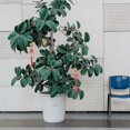 thumbnail image 4 of 10pcs Chinese Spring Festival Pendants Flowerpot Hanging Decor Tree Hanging Decors(Mixed Style), 4 of 4