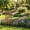 A*36*14.5, variant on Corten Steel Garden Stake Decorative Outdoor Privacy Screen Durable Metal Outdoor Decor Rustic Farmhouse Art Natural Rust Finish Garden Screen Easy Install Garden Privacy Panel Laser Cut Steel Decor