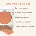 thumbnail image 3 of HALEYS Re-pop Smoothing Powder Blush (Sandy Cheeks) - Pigmented, Easy Blending, Longwear, Buildable, Talc-Free, V + CF, 3 of 5