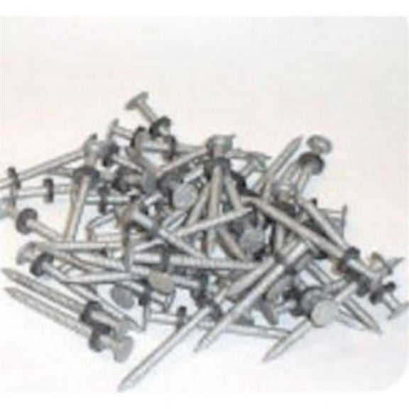 96028 0.12 lbs No.6 Galvanized Nails with Washer