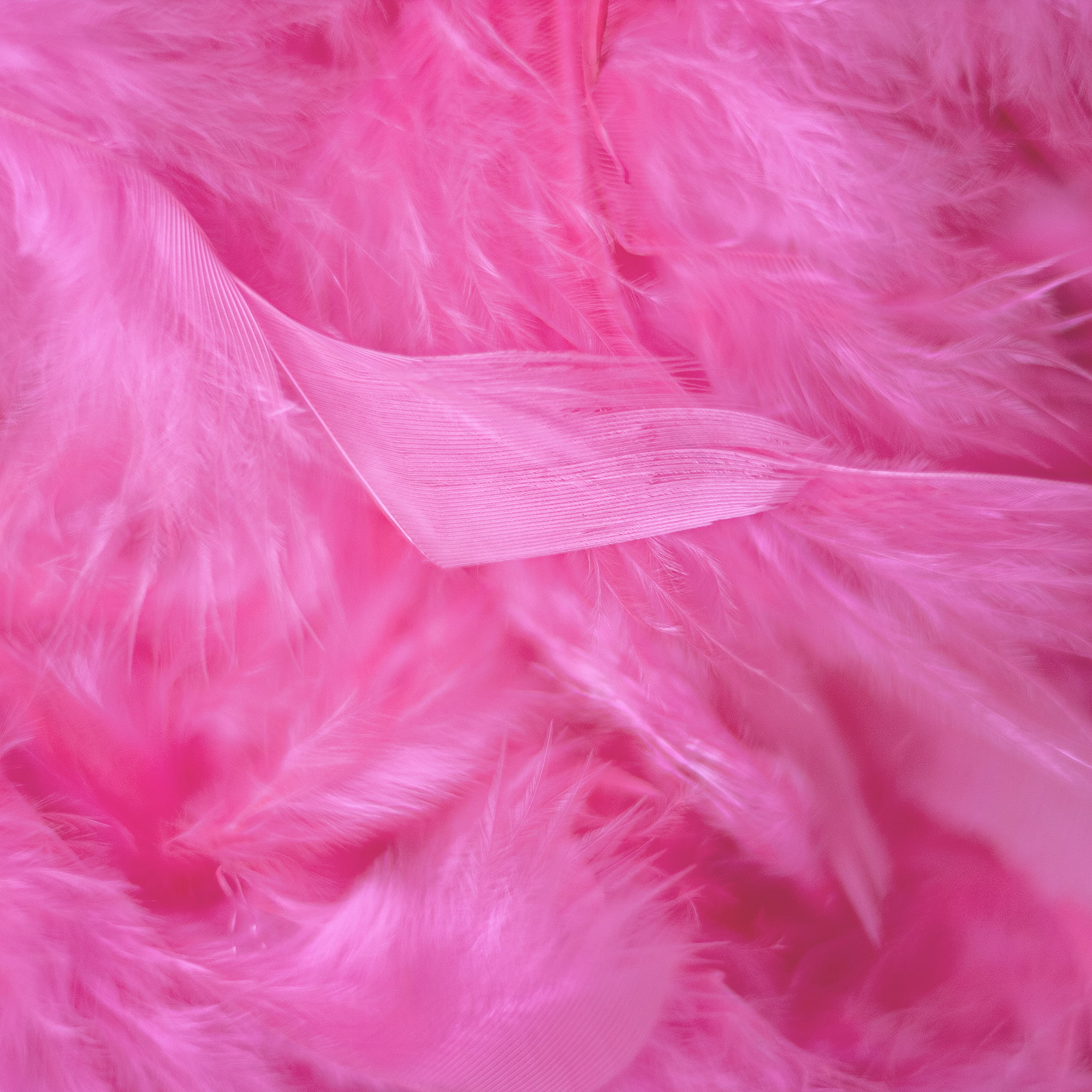 Zucker Chandelle Feather Boa - Lightweight - Raspberry Sorbet