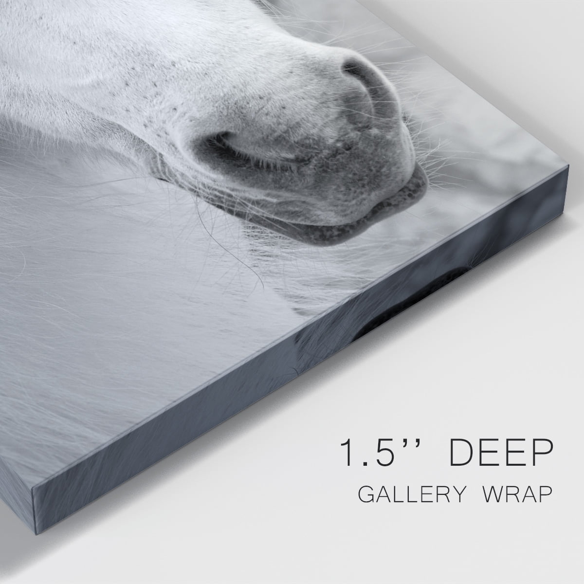 Island Pony I Premium Gallery Wrapped Canvas - Ready to Hang