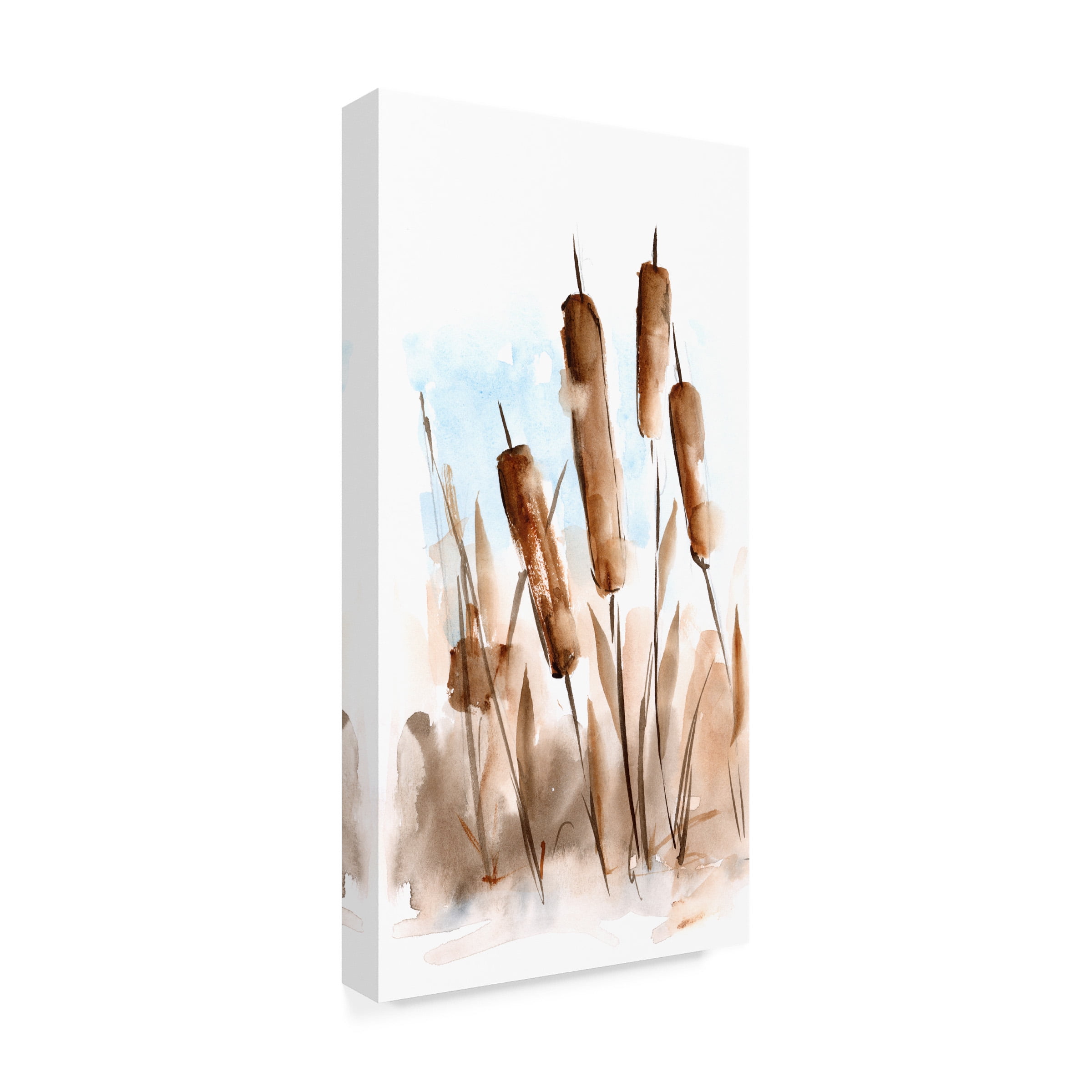 Ethan Harper 'Watercolor Cattail Study II' Canvas Art