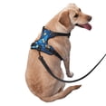 thumbnail image 2 of ZNDUO Gorgeous Butterflies Blue Pattern Dog Harness, Adjustable Reflective Pet Harness with Dog Leash, 2 of 8
