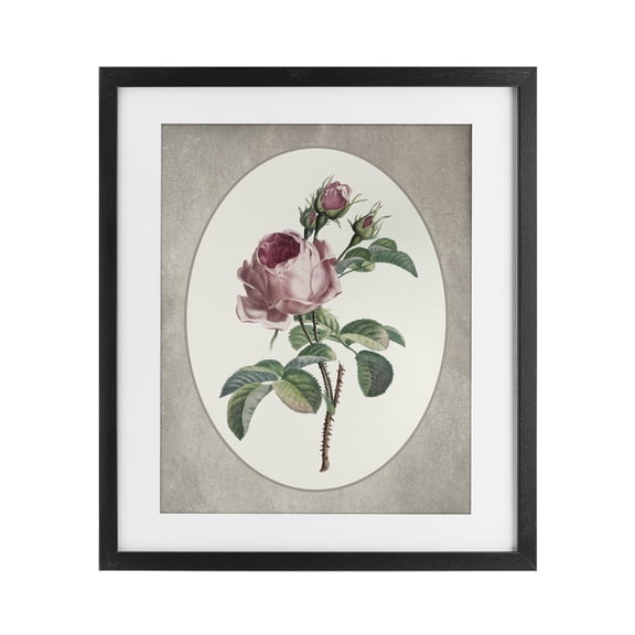 Vintage Rose within Oval Black Framed Print Under Glass, design by Lettered and Lined