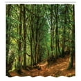 thumbnail image 3 of Ambesonne Forest Shower Curtain, Woodland Pathway Scene, 69"Wx84"L, Green Brown, 3 of 5